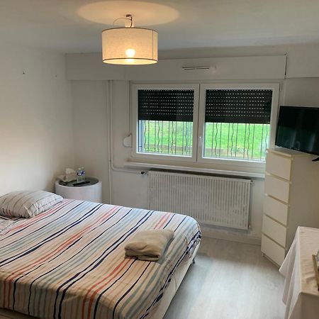 Chambre A Hoenheim A 10 Min De Strasbourg Une Chambre Cosy Екстер'єр фото